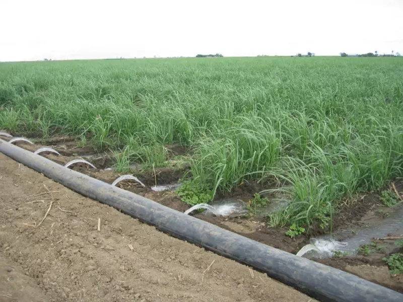 Irrigation à la raie - Transirrigation